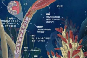 深度解析：Minecraft中海底生态系统的鱼类分布