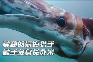 深海触手怪：揭秘神秘海洋生物的惊人习性