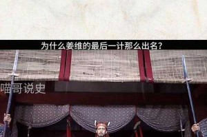 深入探讨：姜维与陆逊在《攻城掠地》中的最佳配合方式