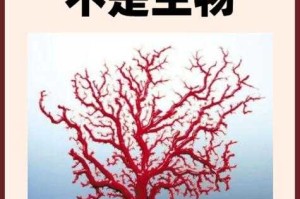 水母聚集的科学解释，水母群聚的科学机制，化学信号与群体感应的协同作用