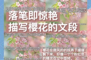 深入解读樱花讲：内容分析与接触方法