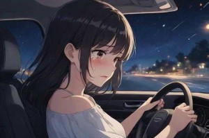 深夜驾驶疼痛呻吟视频合集