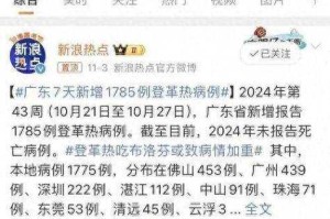 烈日下的死亡之舞，广东基孔肯雅热疫情背后的致命密码，烈日催生蚊媒炸弹，广东基孔肯雅热疫情暴发链式传播
