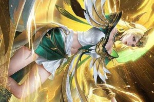 清酒王者荣耀bibi，王者 荣耀，清酒