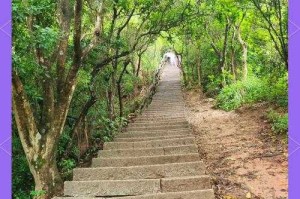 深圳二区梧桐山探区梦幻西游 梧桐山，游戏，游戏