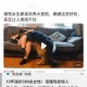 流氓黄代行径揭秘：真相引发网友愤怒