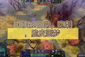 深入理解DOTA隐刺：全名与游戏攻略