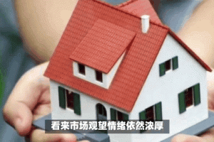 深圳房网论坛 - 最新楼市动态与购房经验分享