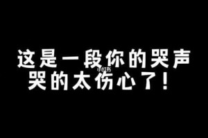 血色黄昏下的重逢，跨国寻亲35年，母亲撕心裂肺的哭声震碎时光裂缝，跨国寻亲35年终章，血色黄昏中母亲哭声震碎时光裂缝