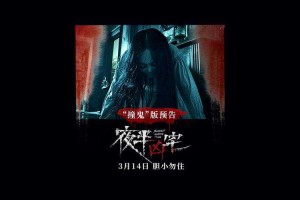 深夜鬼影：老宅惊魂实录