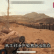镇魂街3D天梯赛攻略：高手进阶指南，挑战竞技巅峰