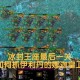 深度探讨：魔兽争霸中隐身娜迦与英雄搭配的最佳策略