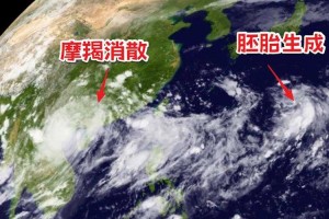 台风韦帕过境后的潮汐生态重构，台风韦帕过境后潮间带生态系统的重构机制研究