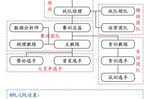深度剖析：职业电竞选手的战术和技巧 选手，打野 敌方