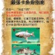 欢乐钓鱼大师藏宝图攻略：钓鱼达人必看！