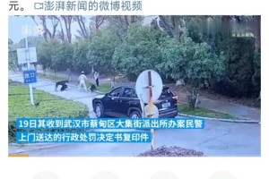 杜宾犬未拴绳引发冲突事件概述，未拴绳杜宾犬引发冲突，社区安全引争议
