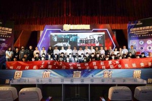 深入探讨Dota职业杯上海门票：赛事亮点与精彩瞬间