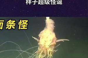 深海触手怪：揭秘海洋最神秘猎食者