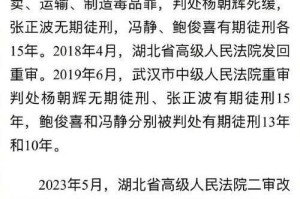 深州麻鹤鸣张艺伟事件始末与最新进展