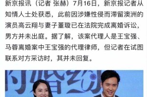 董璇与高云翔离婚案背景，从明星夫妻到法律纠纷，董璇高云翔离婚案，从公众焦点到法律博弈