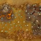 济州岛魔兽世界采矿点分布攻略