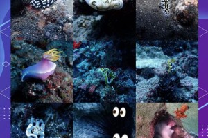 深海探索：揭秘未知的深潜世界