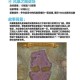 深入分析：在魔兽争霸III中各职业如何有效协同作战