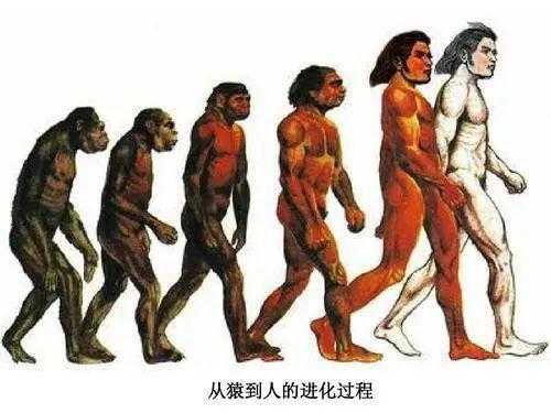 10分钟看完人类进化史全过程视频 从猿到人的演化历程详解