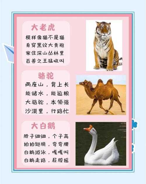如何了解并记忆这千种动物的名字？有效方法助你轻松掌握