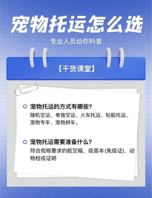 2025年宠物拖栏全攻略