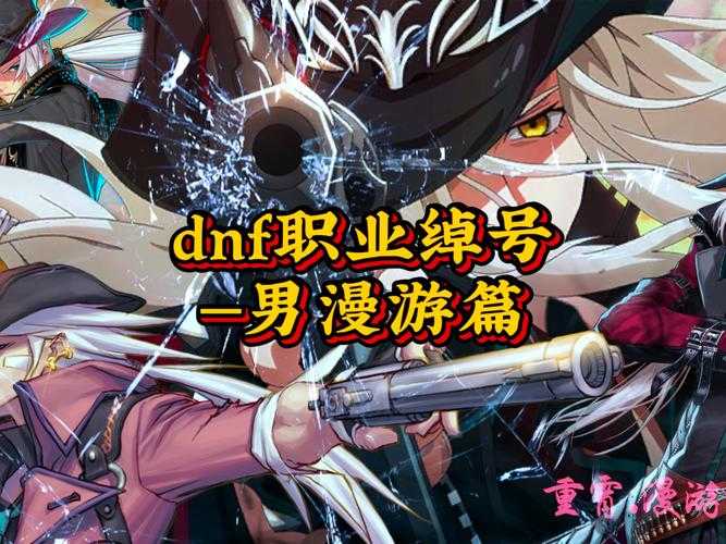 DNF外号分类解析:地域文化及趋势演变