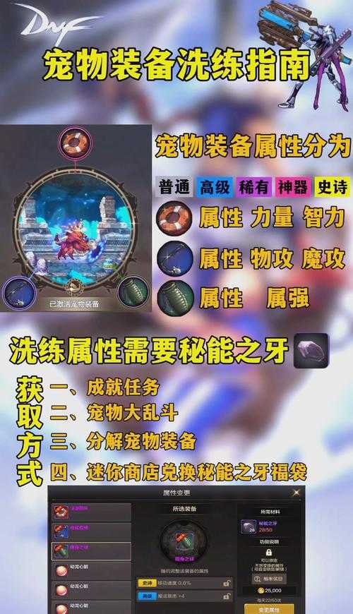 2025年DNF宠物购买实战指南与对比