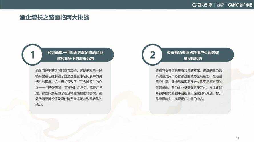 【行业洞察与战略建议报告】