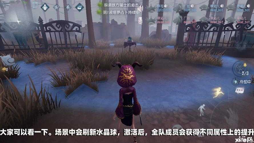 水晶球怎么开第五人格