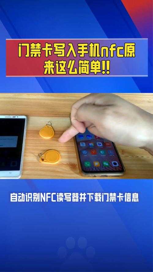 如何获取13号避难所门禁卡?攻略指南