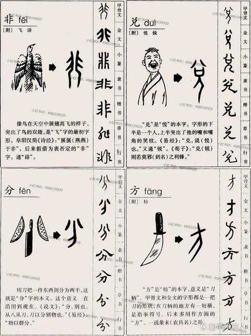 汉字的起源与演变历程探秘