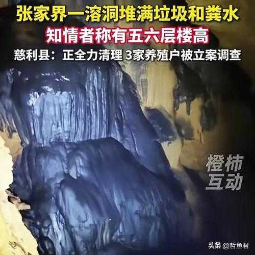 张家界溶洞垃圾问题引发关注 四名管理人员被停职，张家界溶洞垃圾污染事件致四人被停职处理