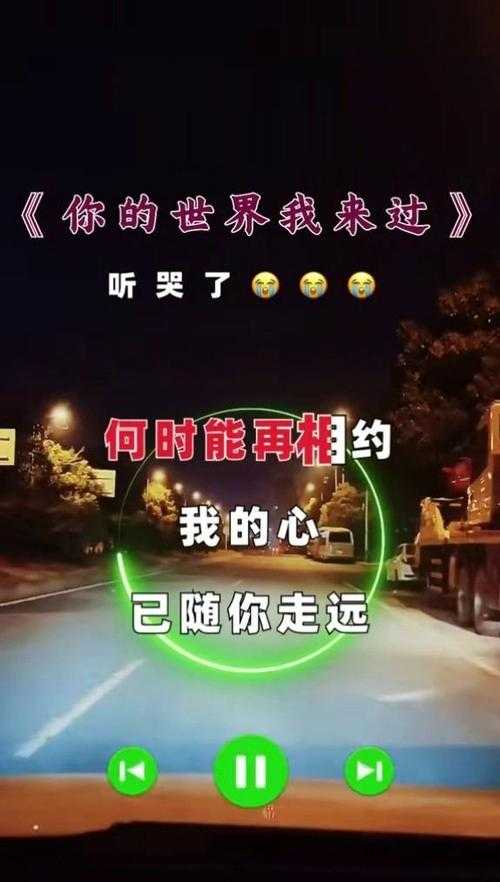 沉思者你的世界我来过