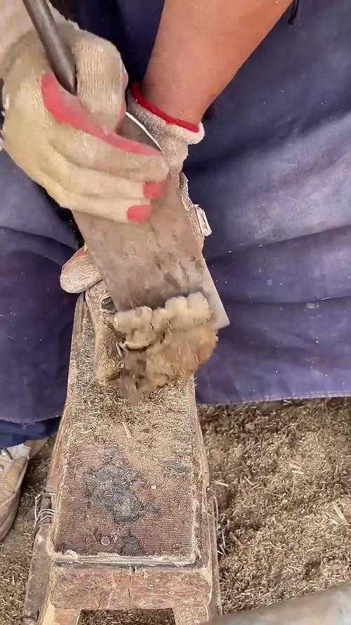 沉浸式修牛蹄解压视频王者荣耀 修蹄 沉浸式 视频