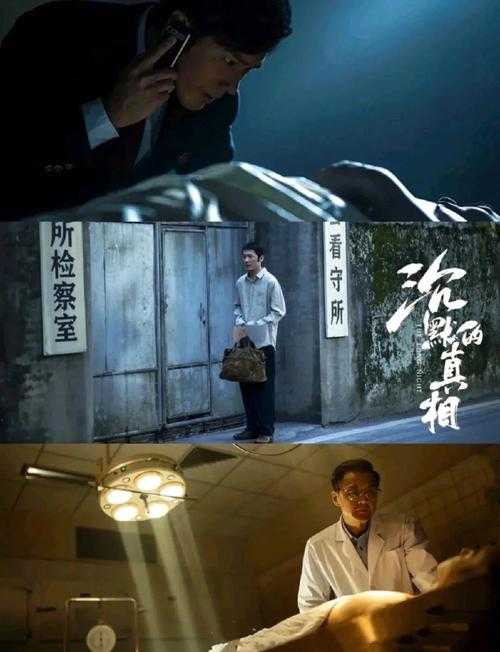 沉默的真相全集免费观看-高清完整版在线播放