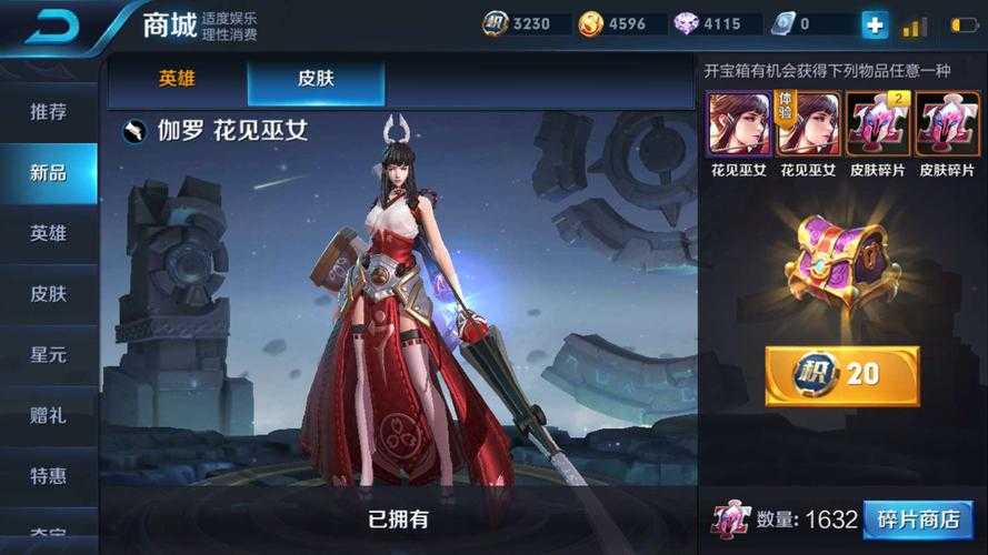 法兰西之巅:我的荣耀征程