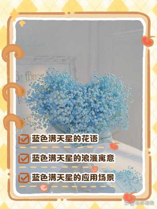 法国满天星太太们的浪漫故事