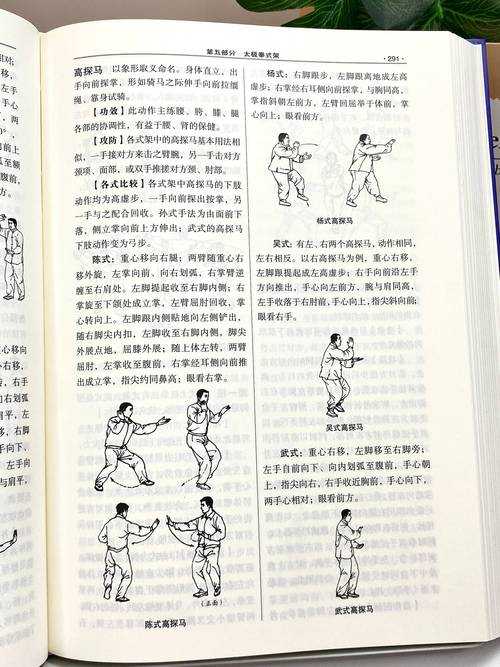 波动拳修炼指南:从入门到精通