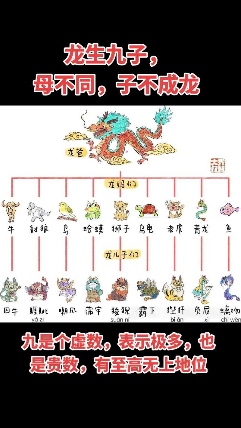 洛克王国九条龙拼图攻略及完整图鉴