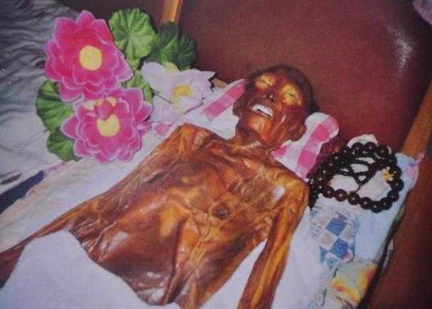 活体肉莲高清图片大全及博物馆实拍