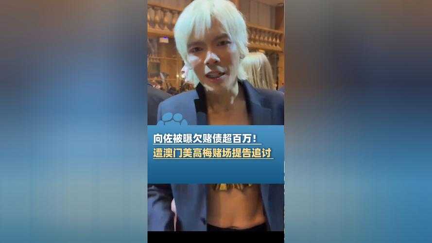 嗯,用户让我写一篇关于向佐被曝欠赌债未还的1854字原创文章,按照他们的详细要求来。首先,我需要仔细分析他们的需求,确保每个部分都覆盖到位