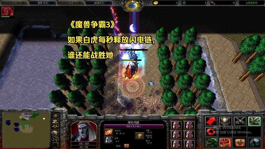 深入探索:白虎在魔兽争霸中的战术运用及其深层意义