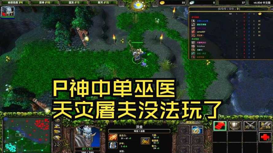 深入解析:Dota巫医饰品的最优组合方案