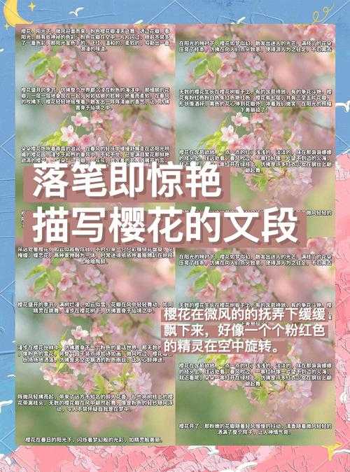 深入解读樱花讲:内容分析与接触方法