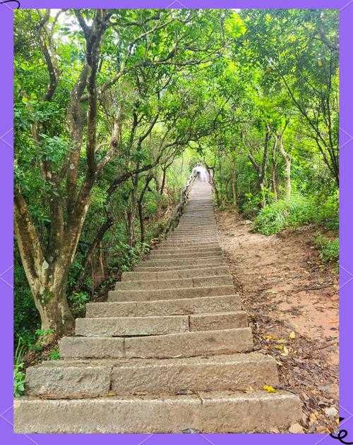 深圳二区梧桐山探区梦幻西游 梧桐山,游戏,游戏